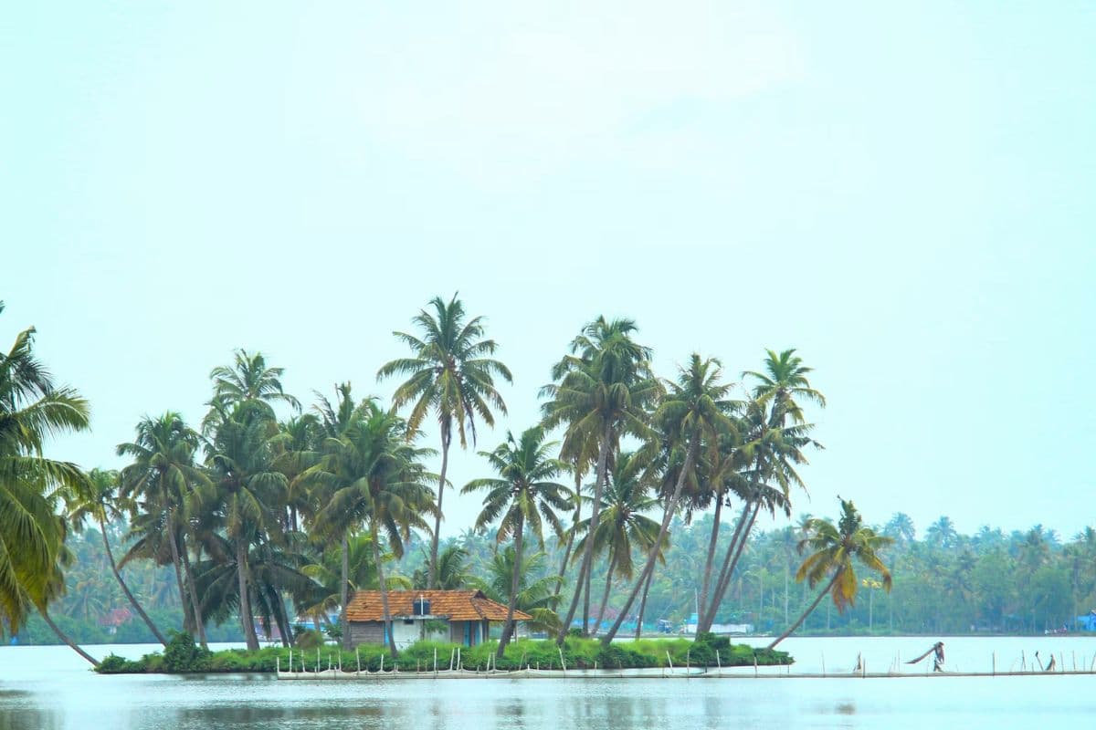 Day Trips In Kerala: Here’s How You Can Take 1 Day Trips From Kochi