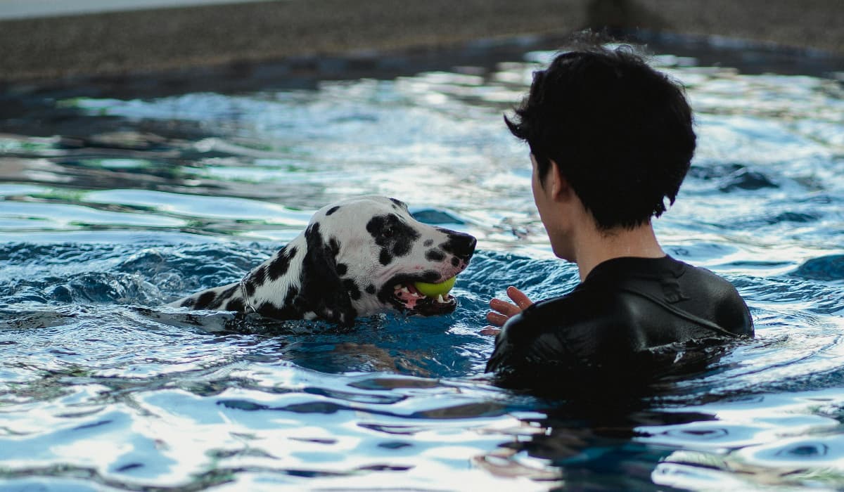 7 Pet-friendly staycations near Pune