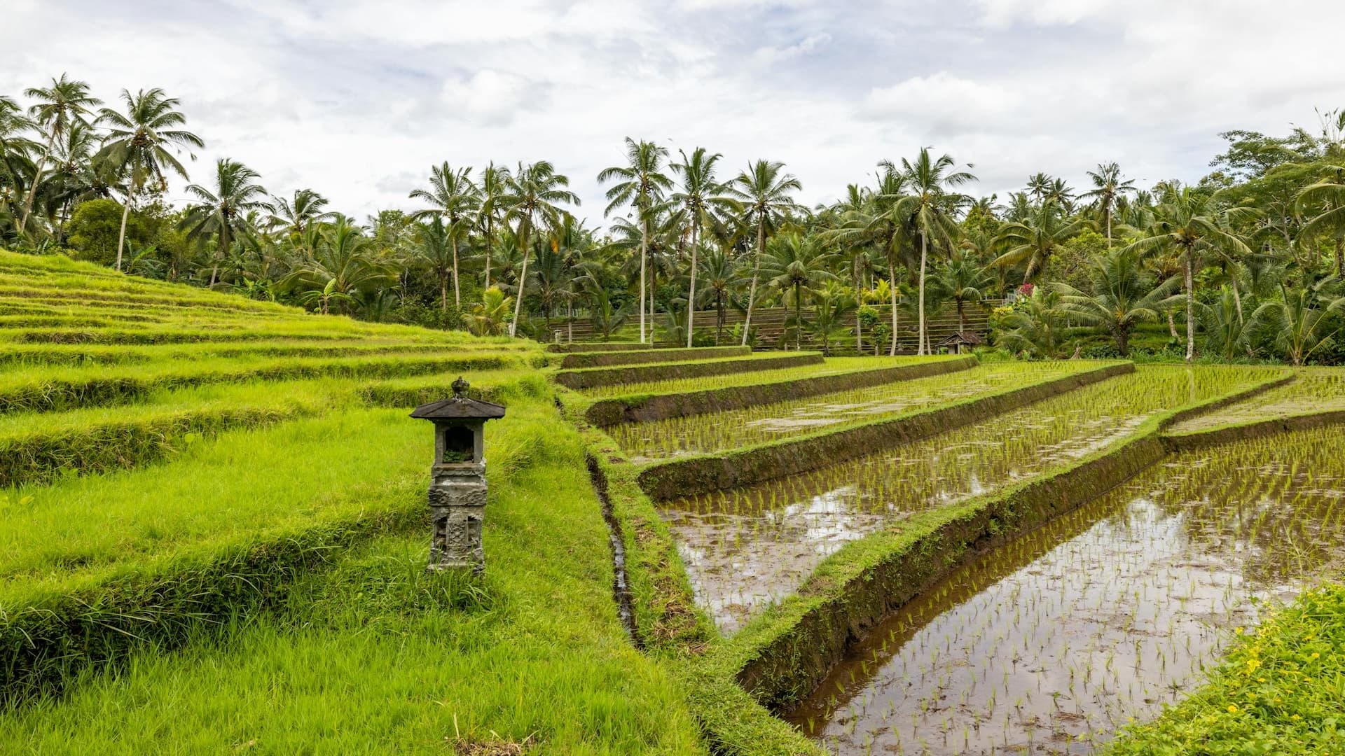Bali Vs Thailand: Which Destination Is Better For Indian Travelers