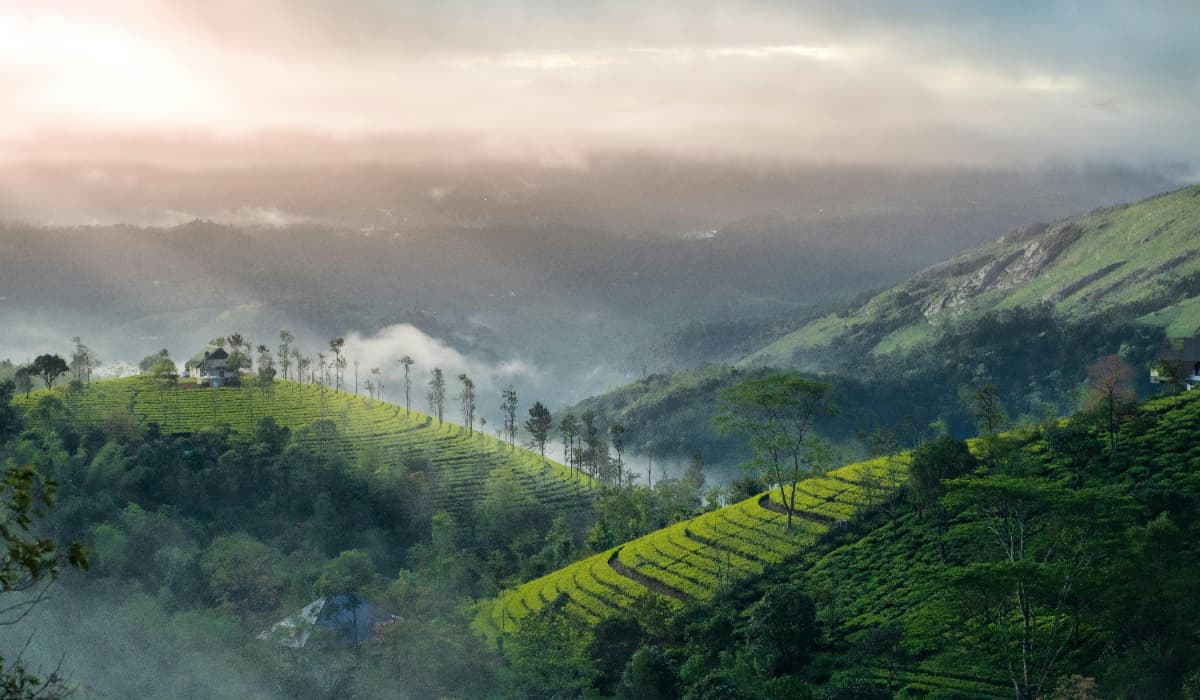 Best Hostels In Munnar
