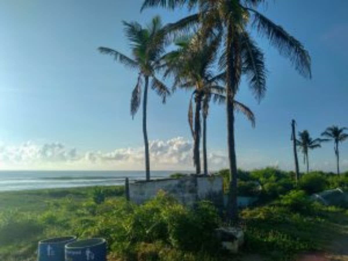 Chennai Beyond Marina Beach: Temples, Heritage And Local Culture