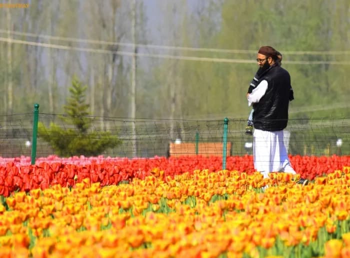 Indira Gandhi Memorial Tulip Garden