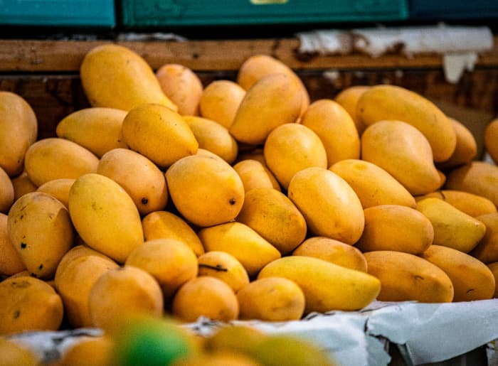 Mango season