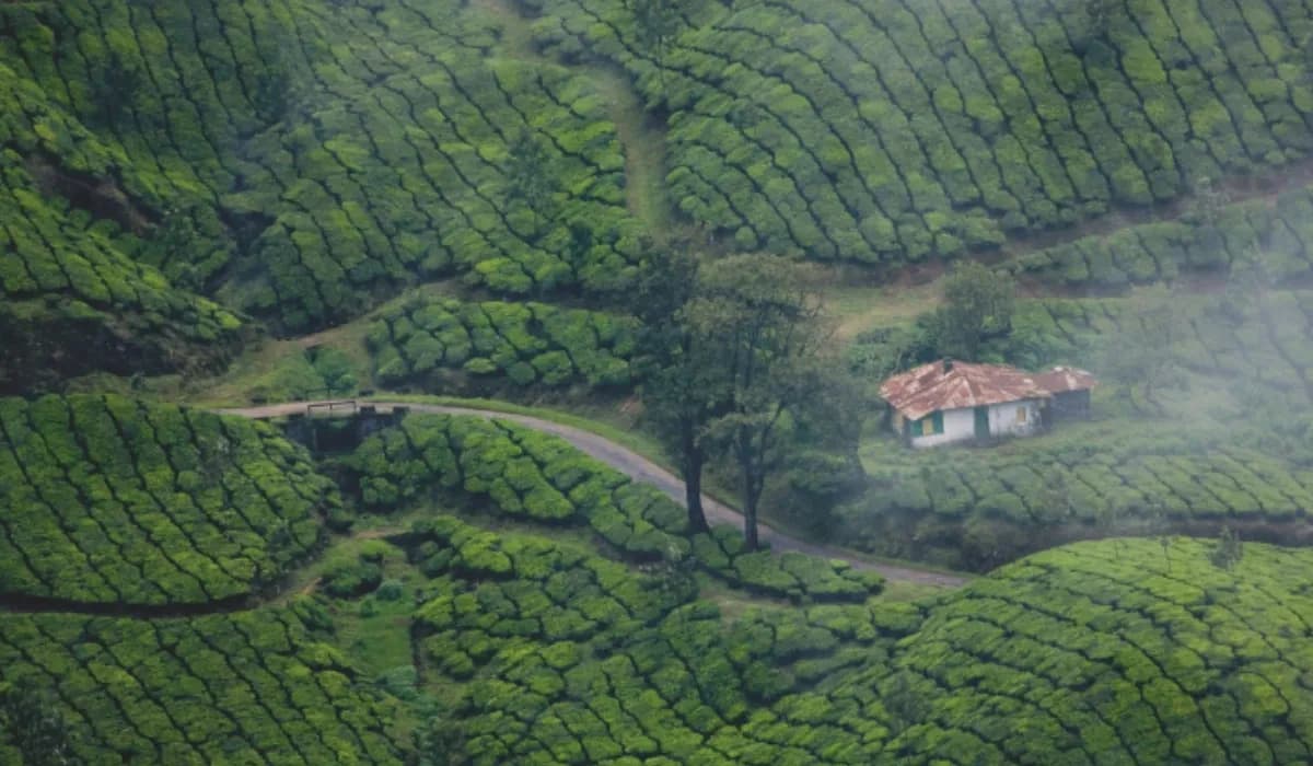 Munnar Budget Trip