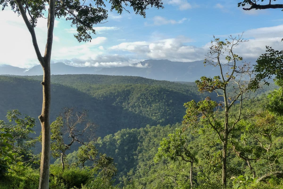 National Reserve Forests In Karnataka