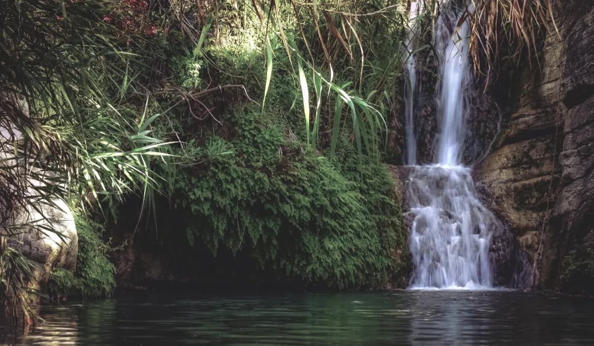 Monsoon Waterfalls You Can Reach By Train