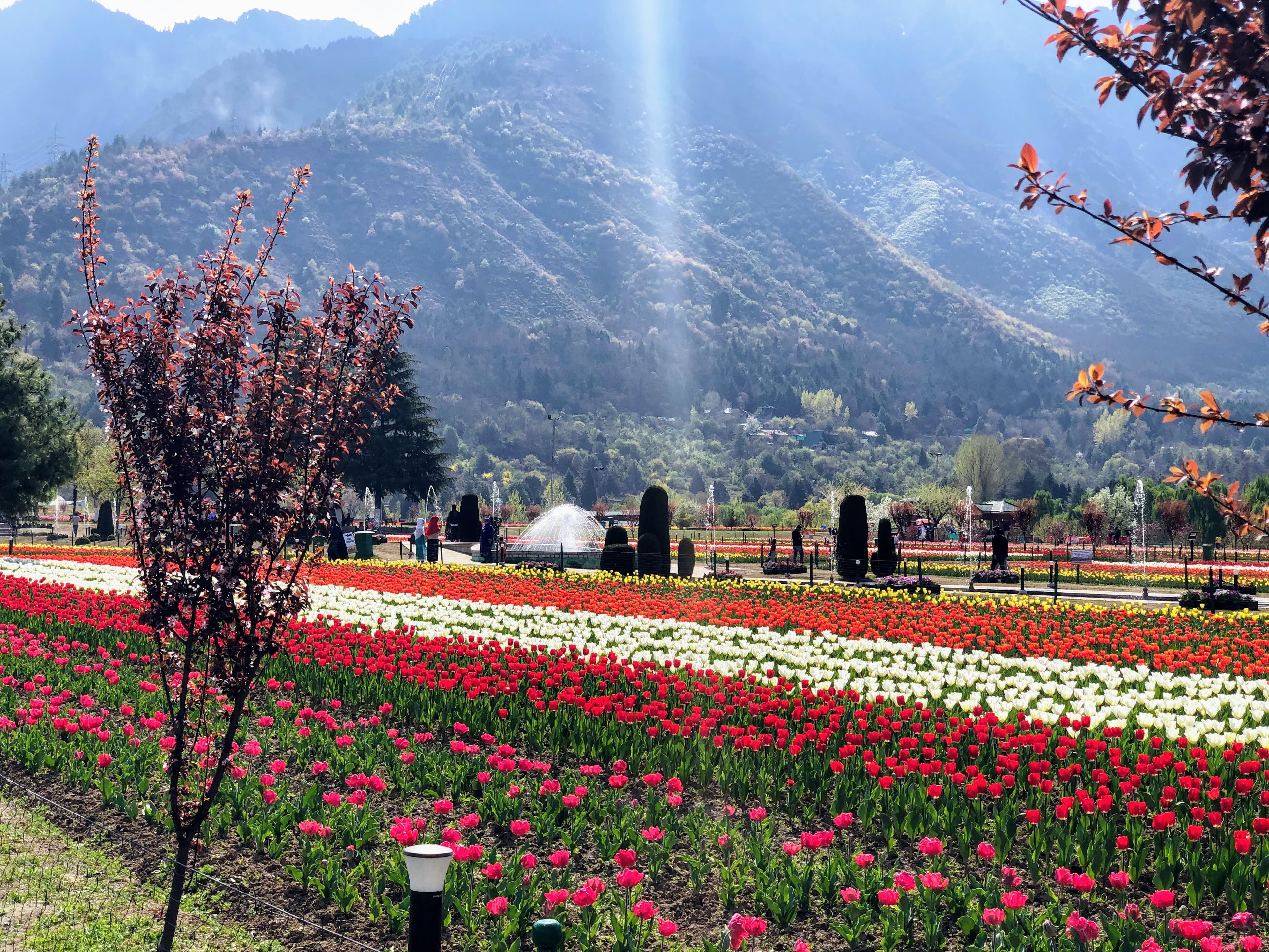 Srinagar-content3