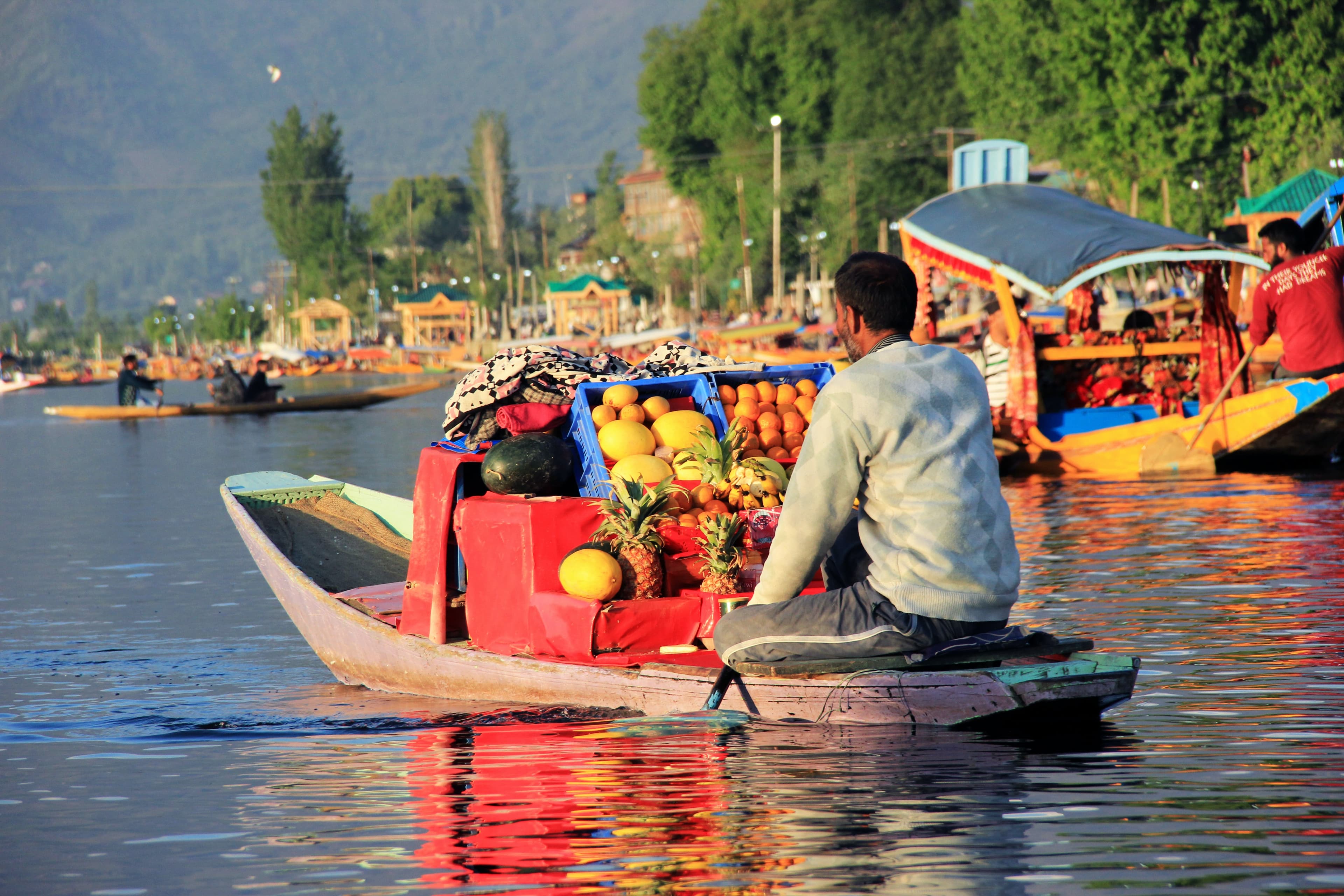 amit-jain-SVMS7i2wKho-unsplash-Dal-Lake-Srinagar