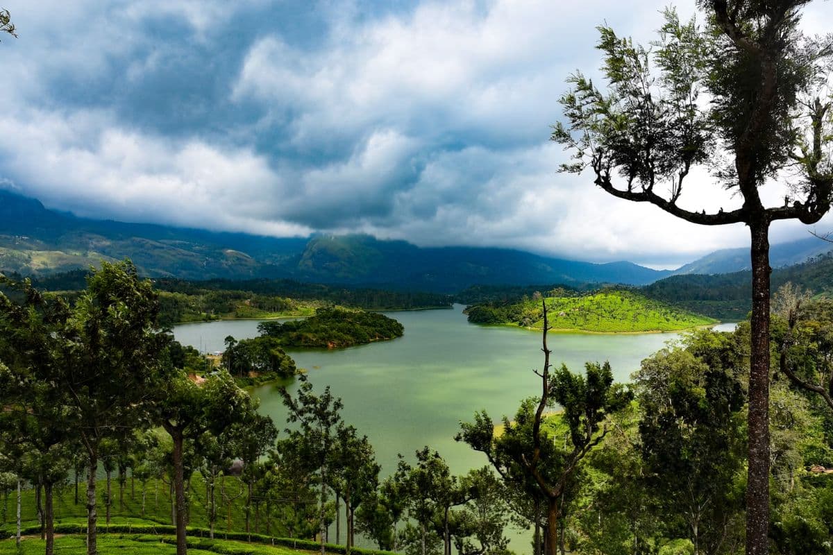 best homestays in munnar (1)