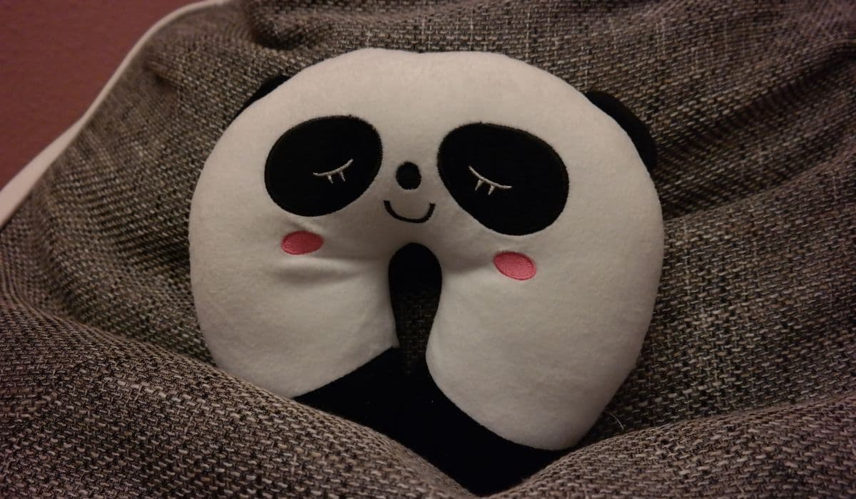 best travel pillows