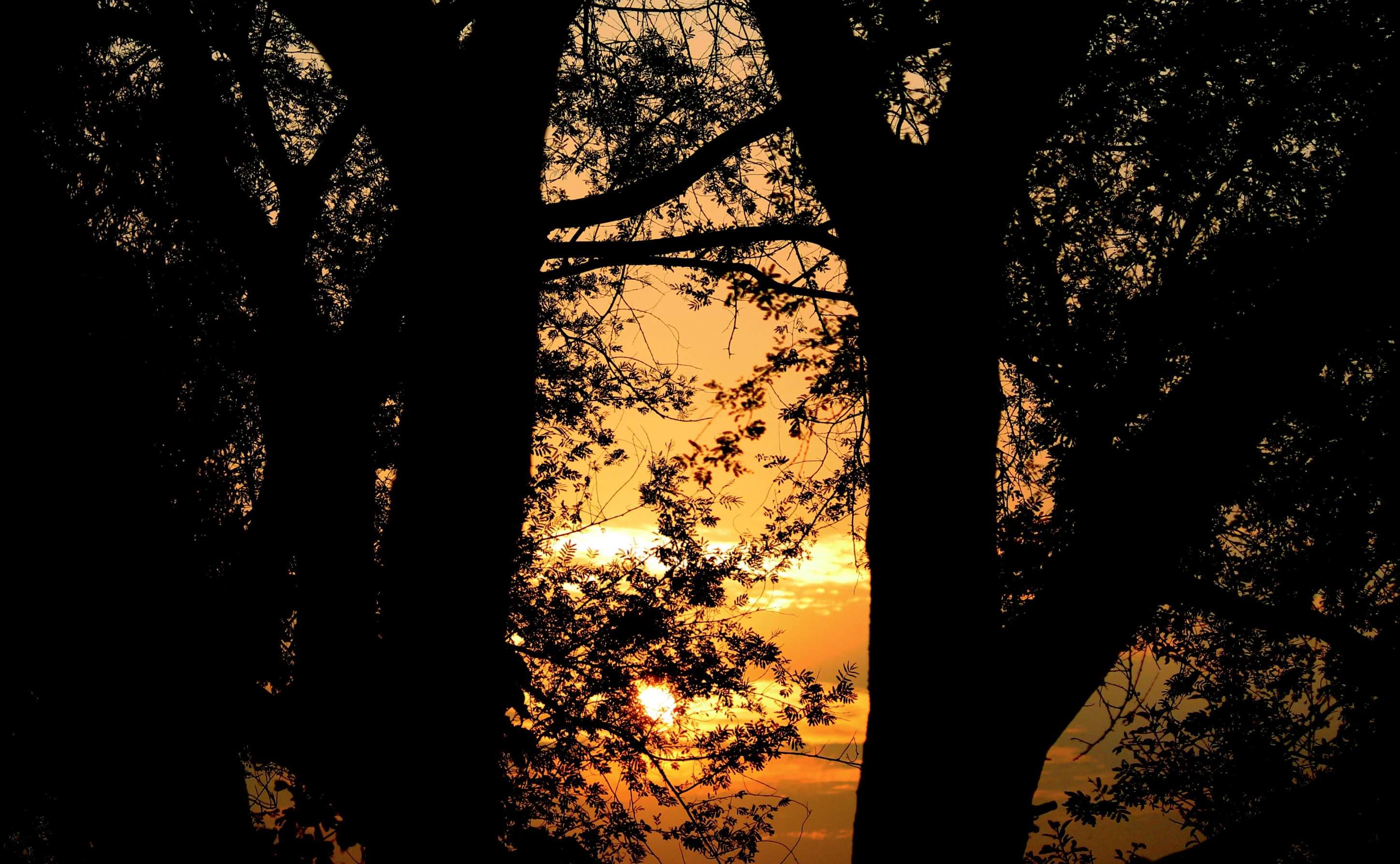 chandigarh-02-1