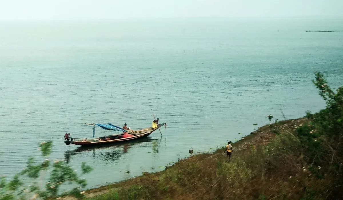 Chilika Lake boat services suspended