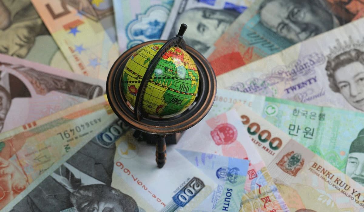 Indian traveler carrying foreign currency and cards for an international trip