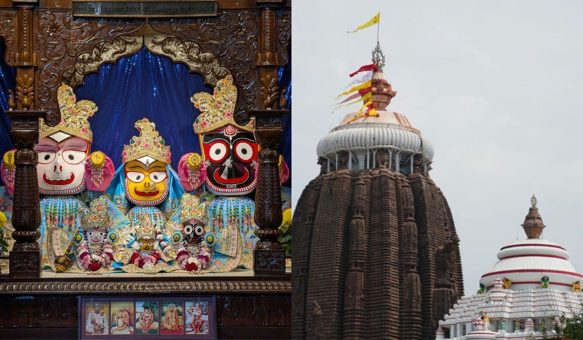 jagannath puri rath yatra itinerary