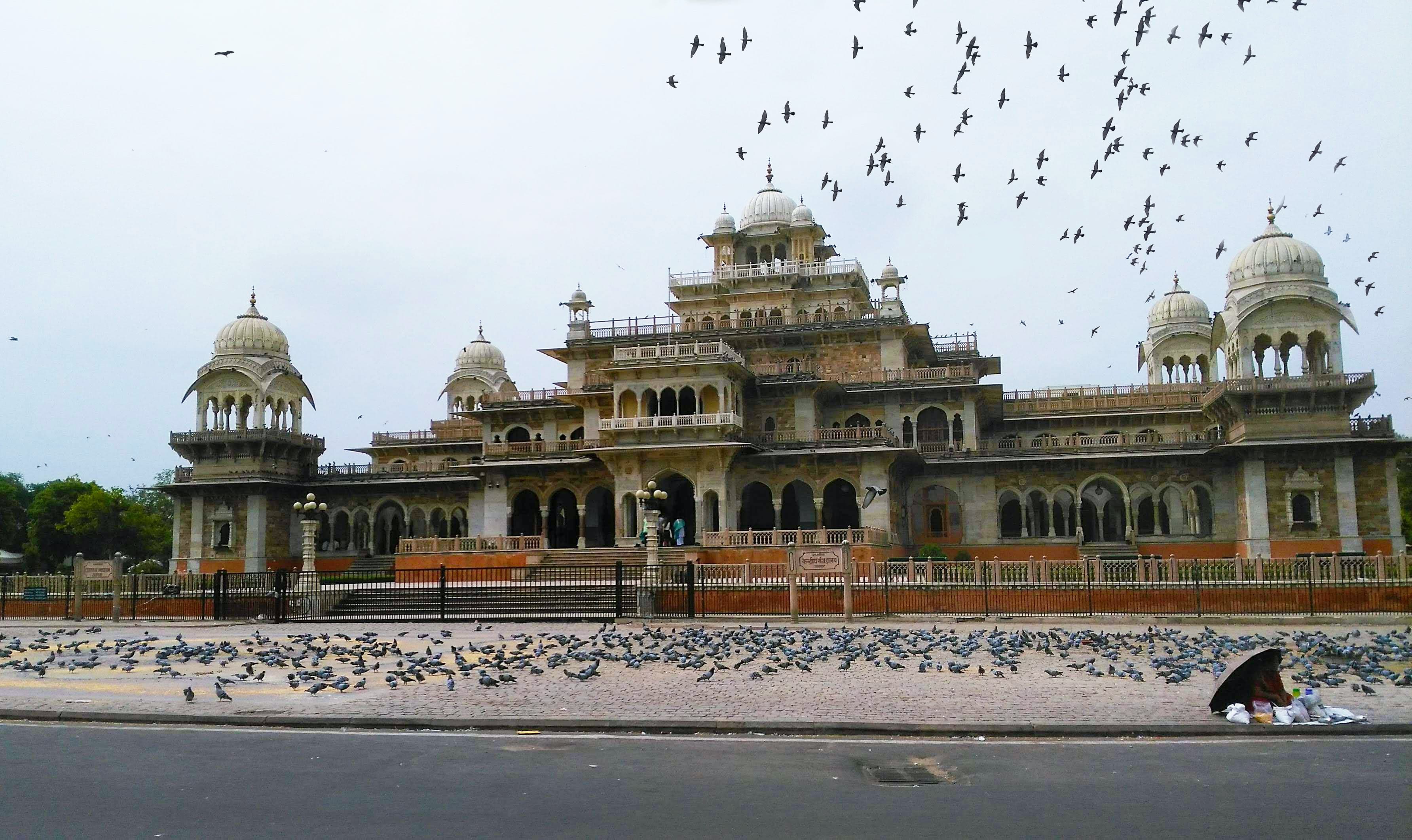 jaipur5