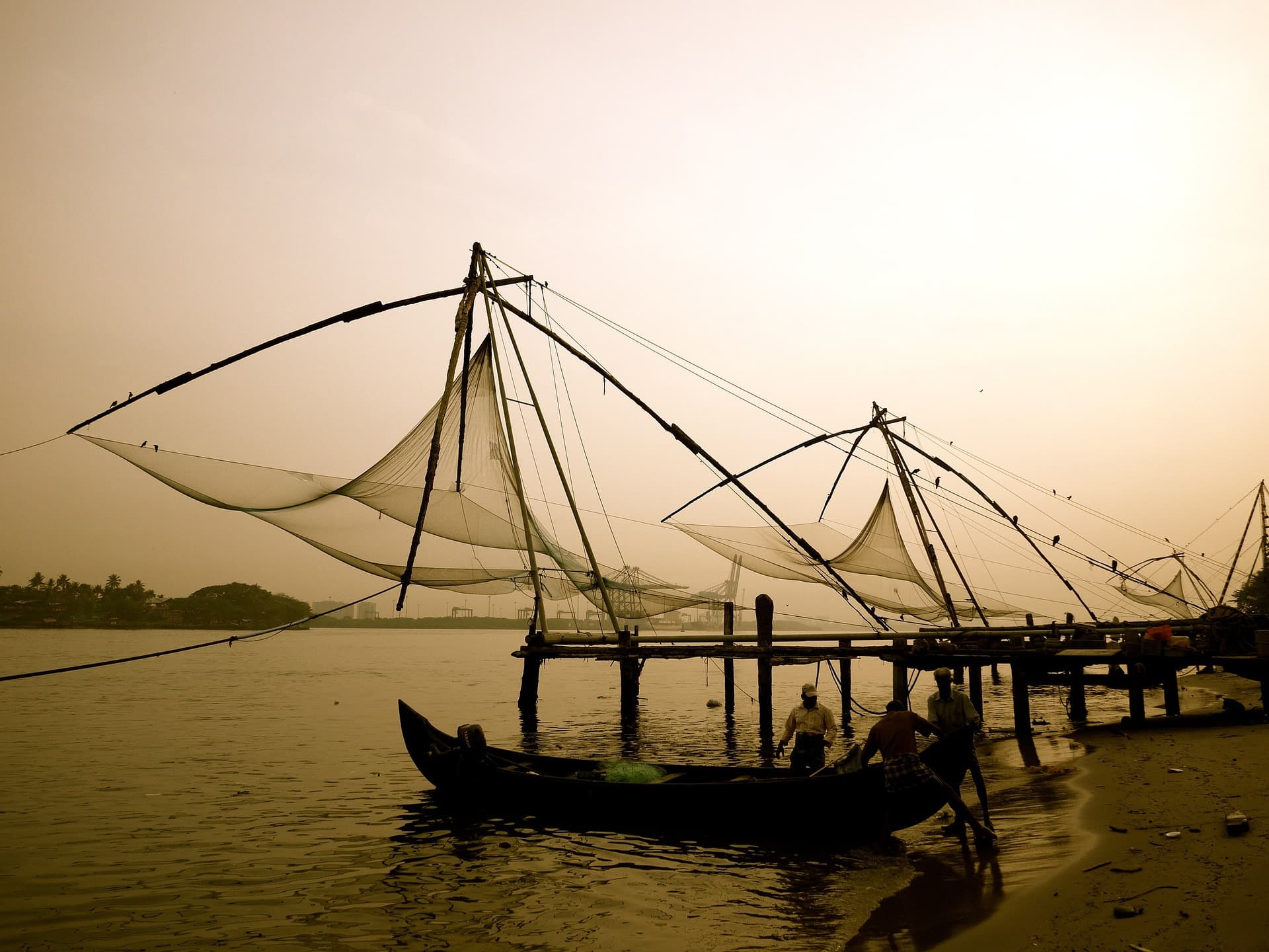 kochi-1-day-walking-tour1