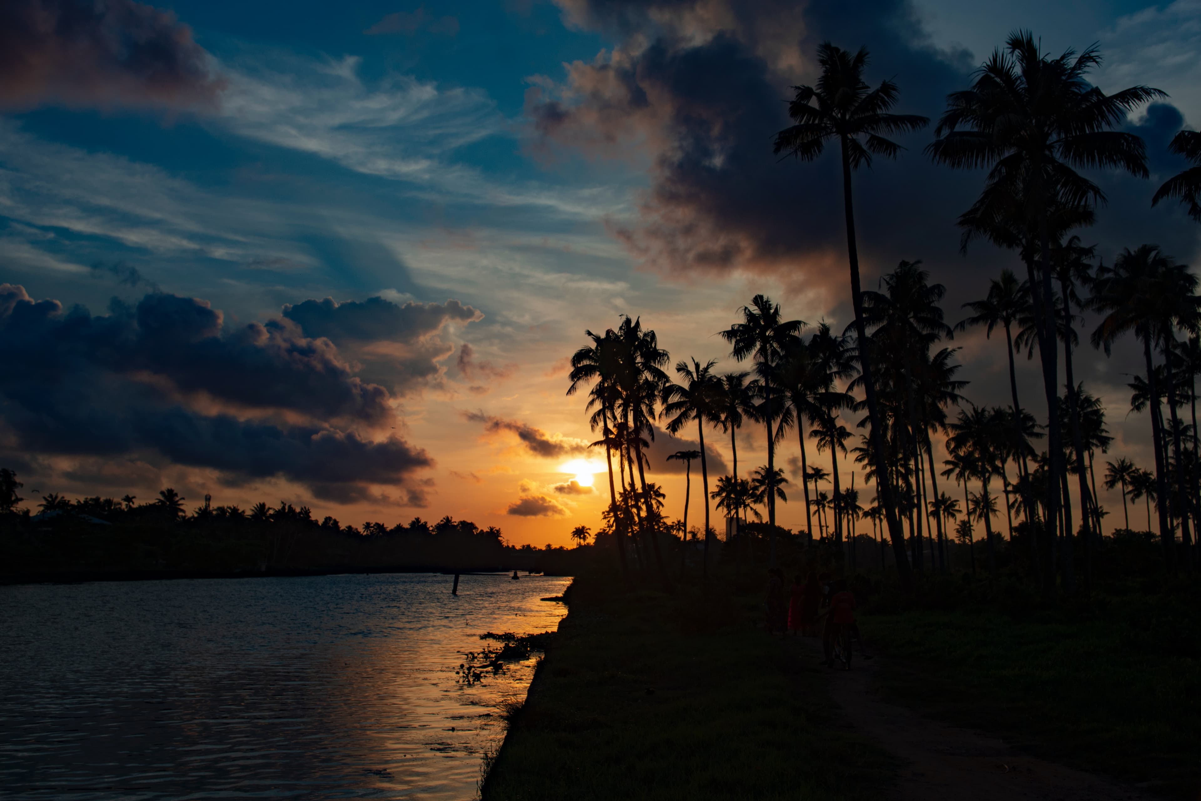 kochi-slider4
