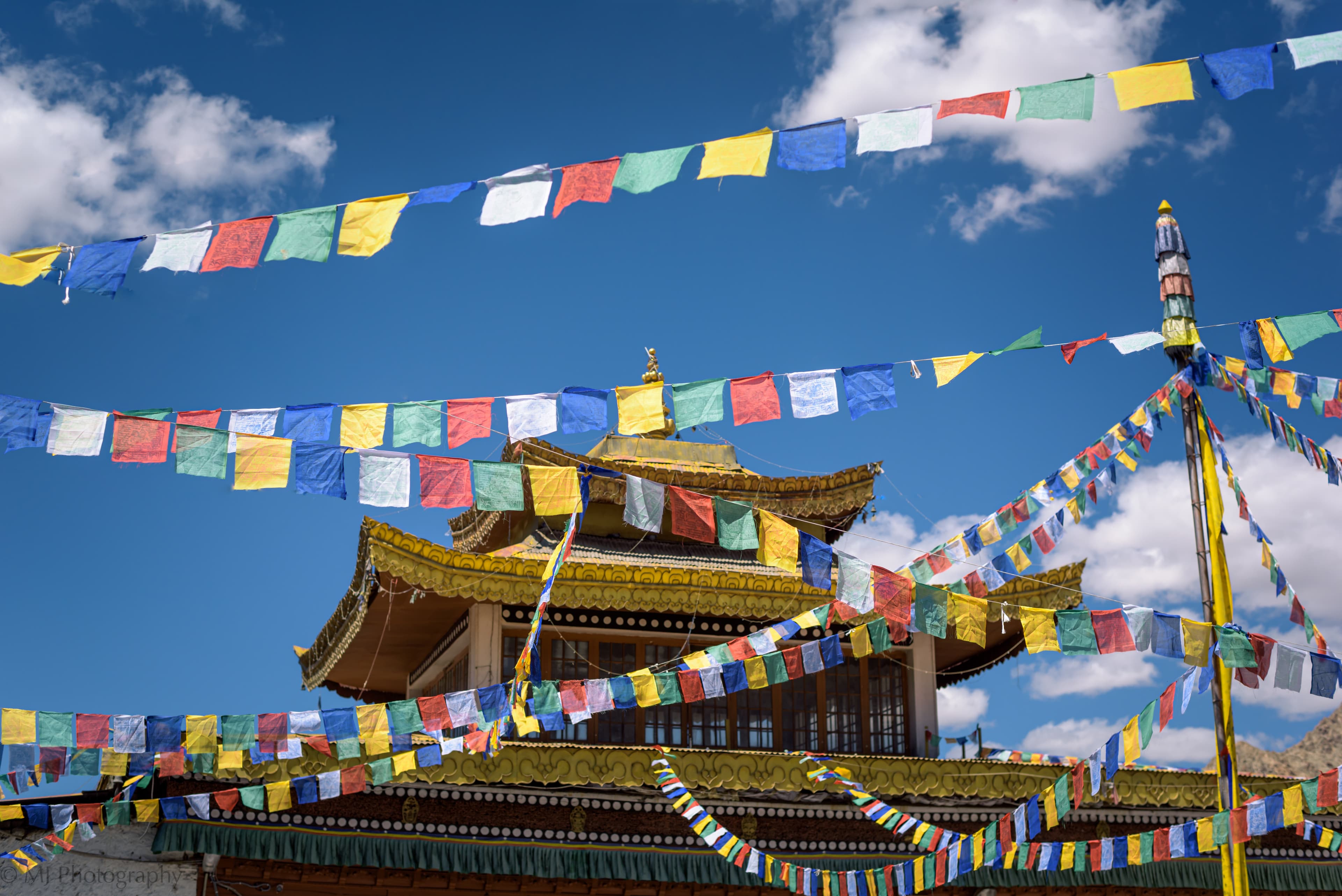 ladakh2