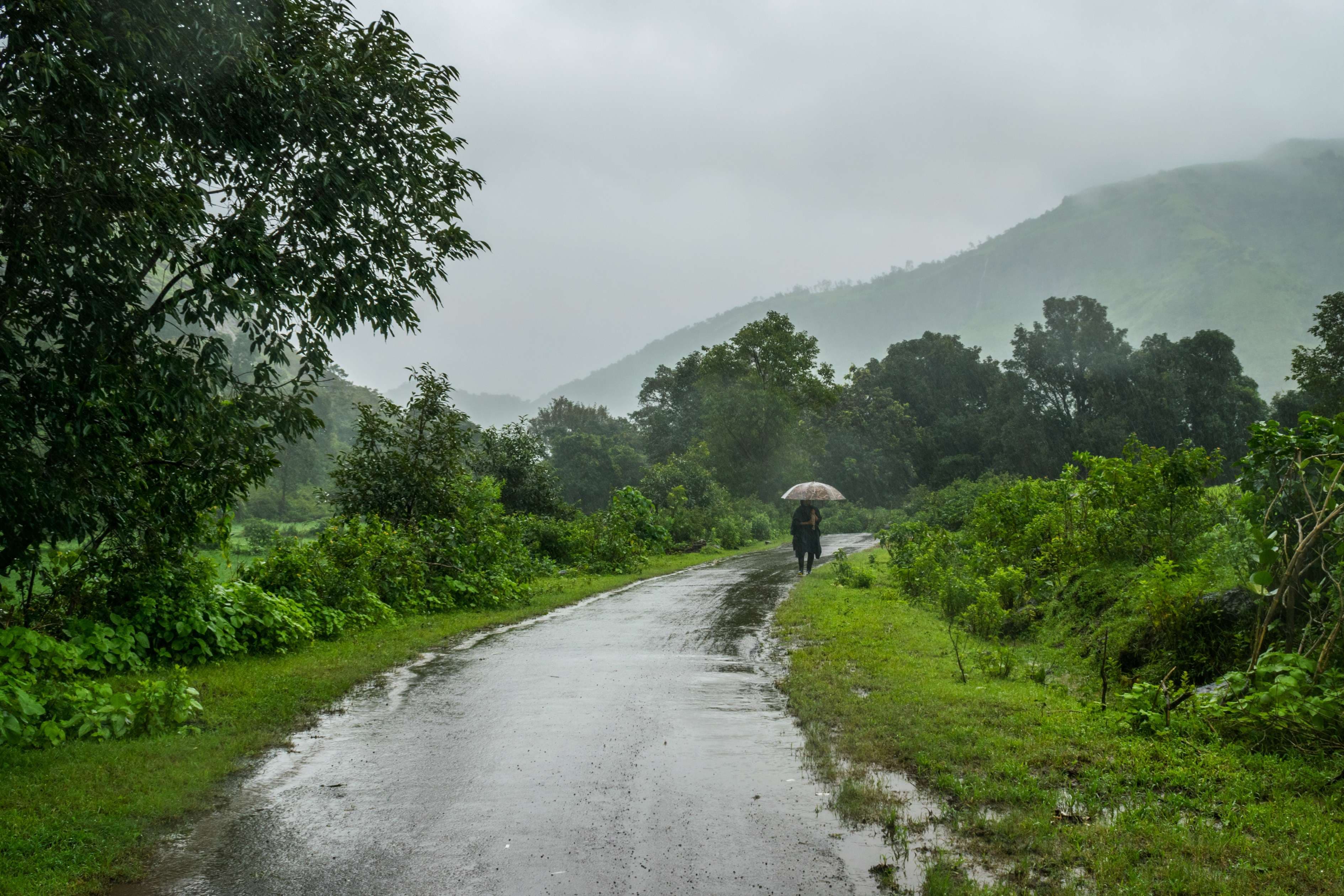 monsoon