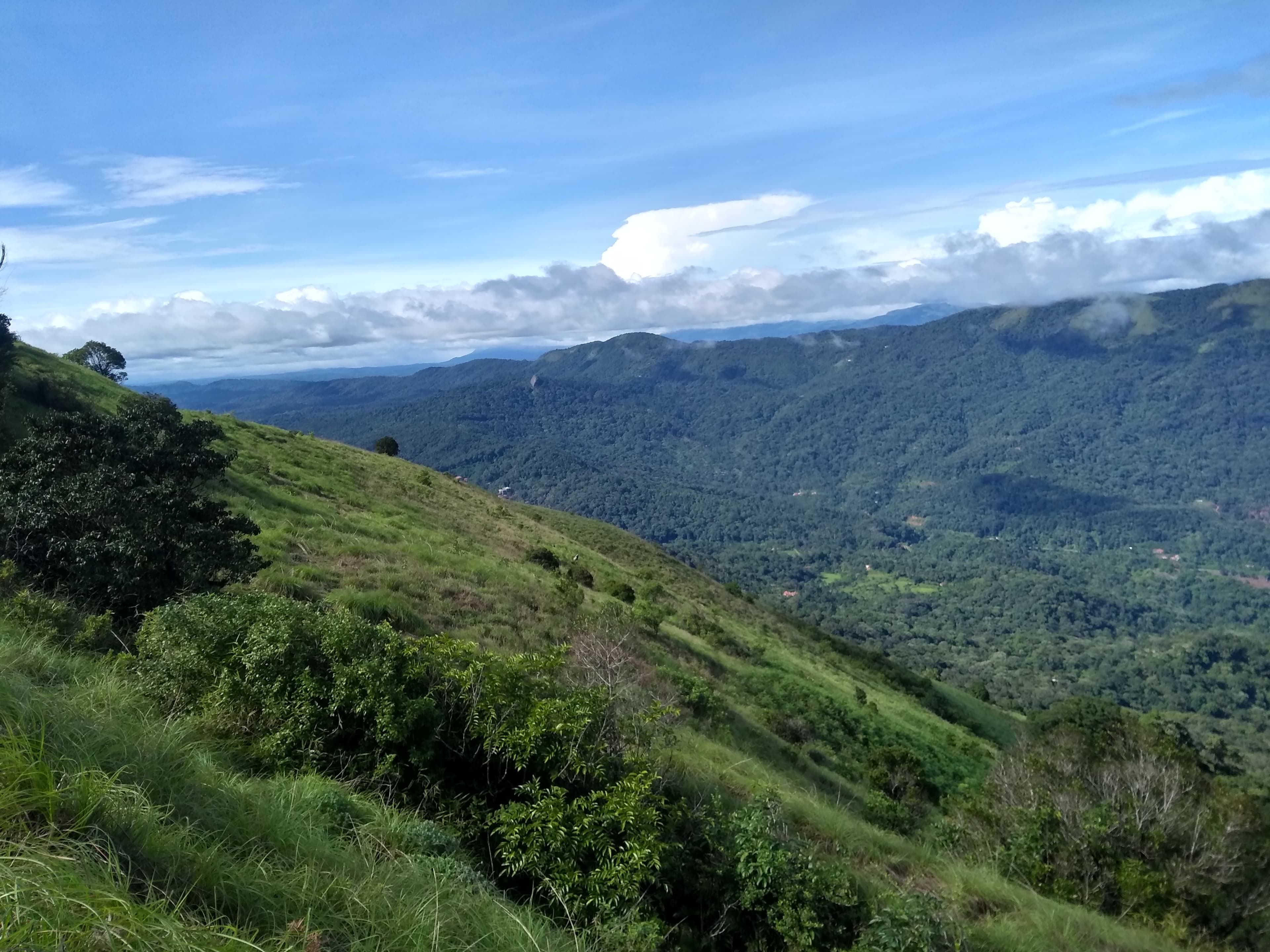 Coorg Travel Guide