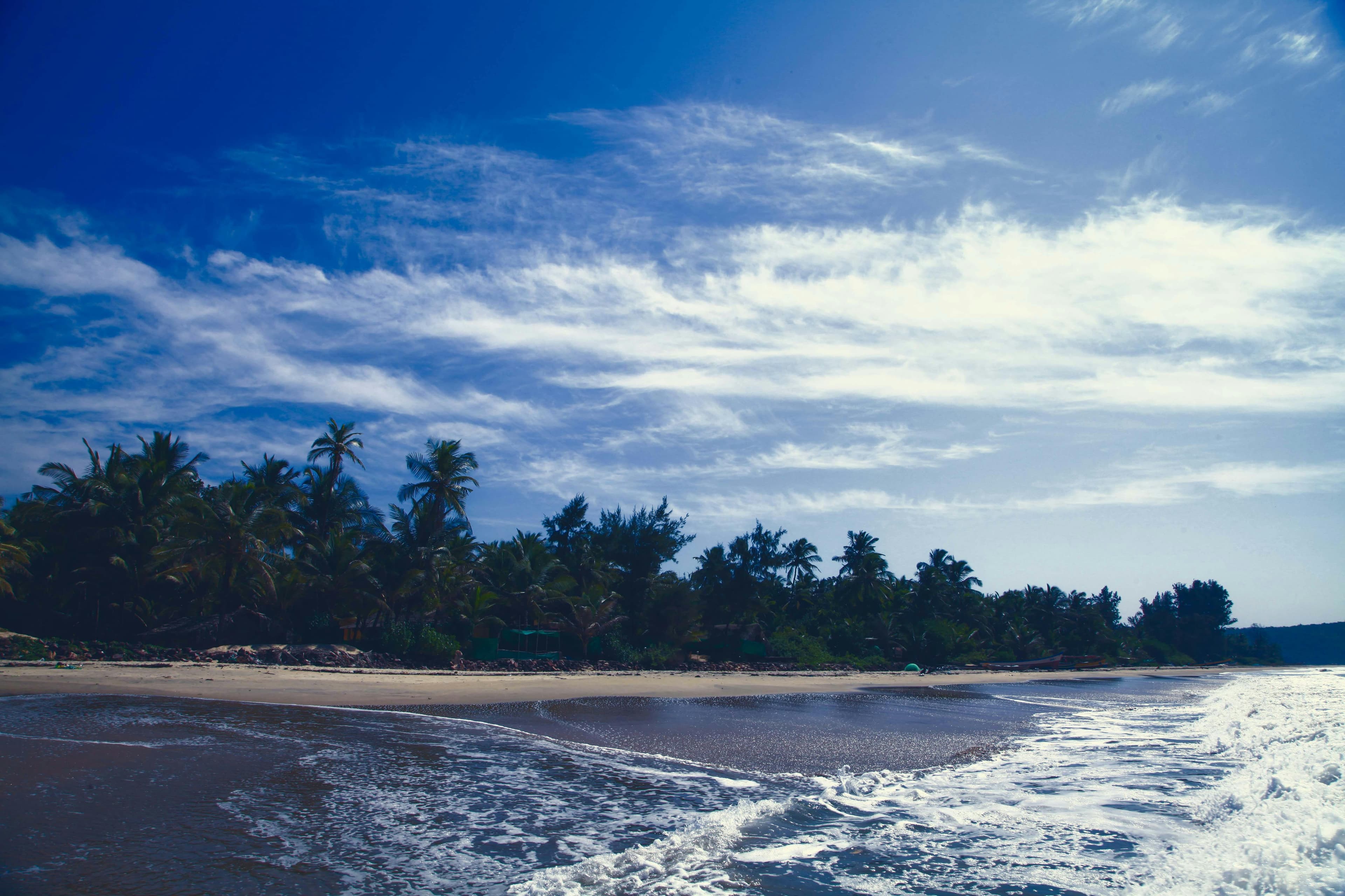 beach places to visit in January in india