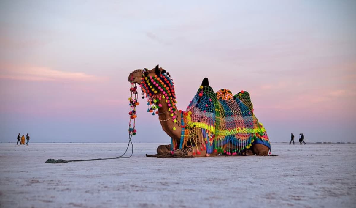 White Rann salt desert near Dhordo in Kutch, Gujarat, during Rann Utsav