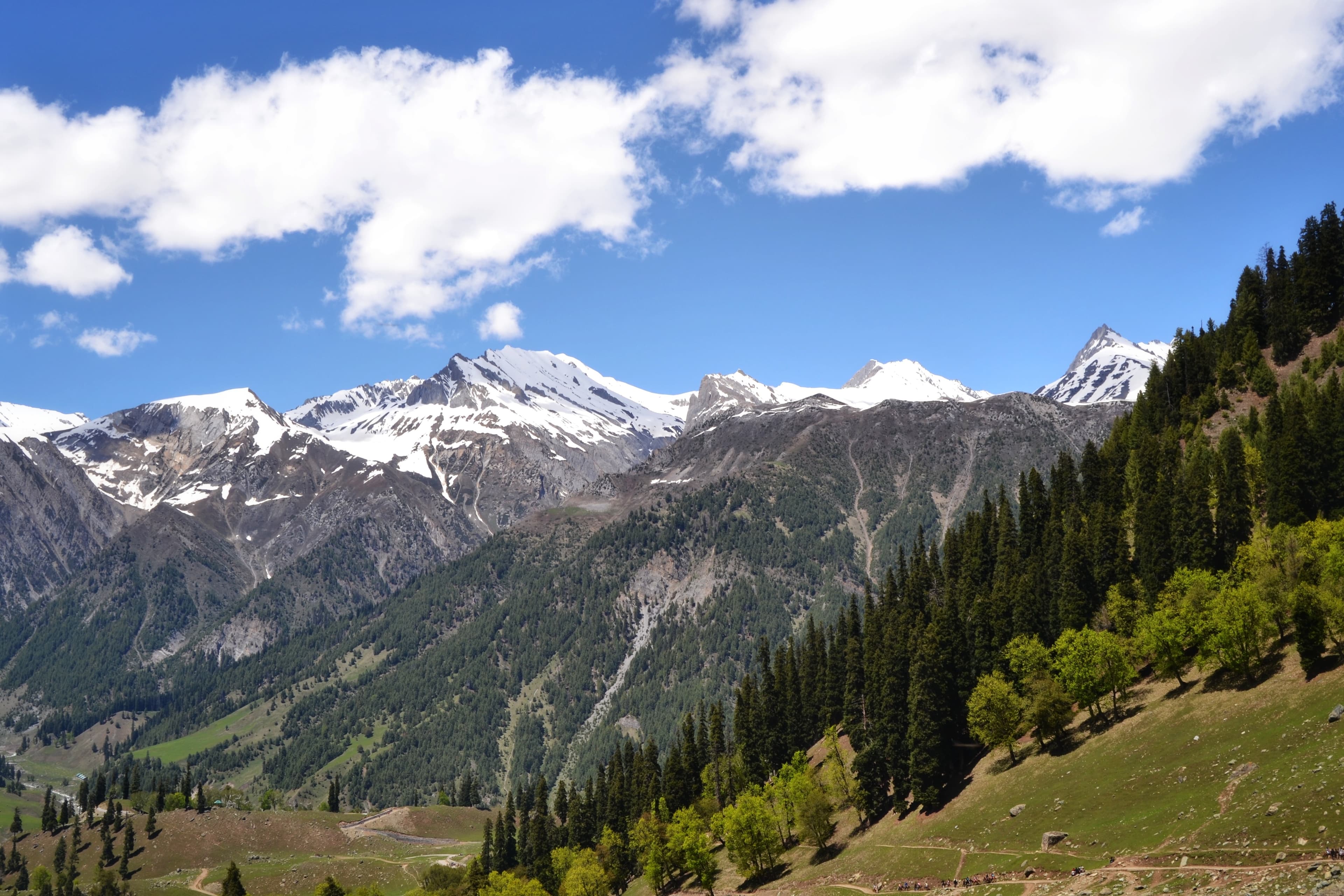 Jammu Travel Guide