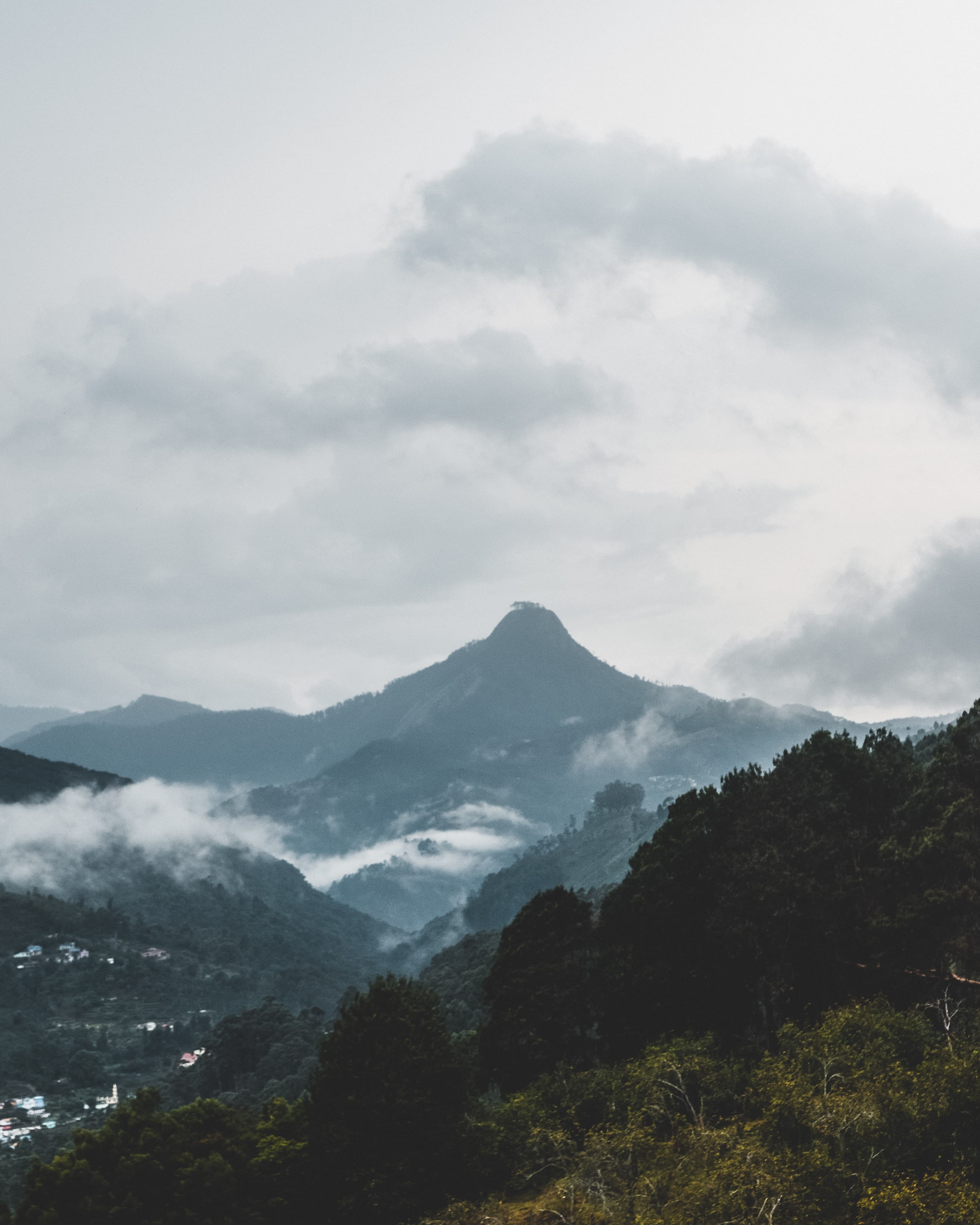rishabh-pammi-rtvejiwxply-unsplash