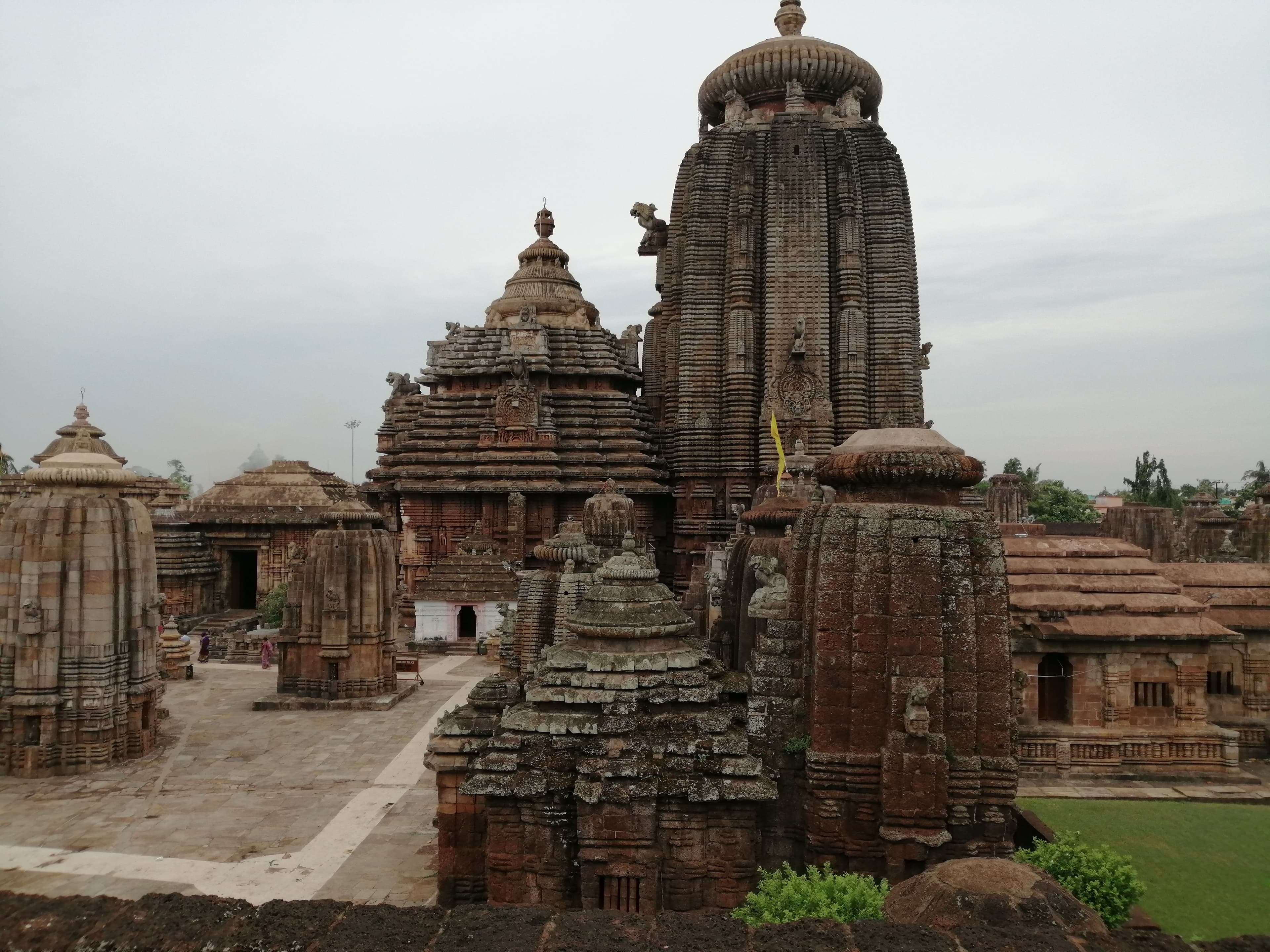 suchismita-sahoo-aEO1tuMpqb8-unsplash