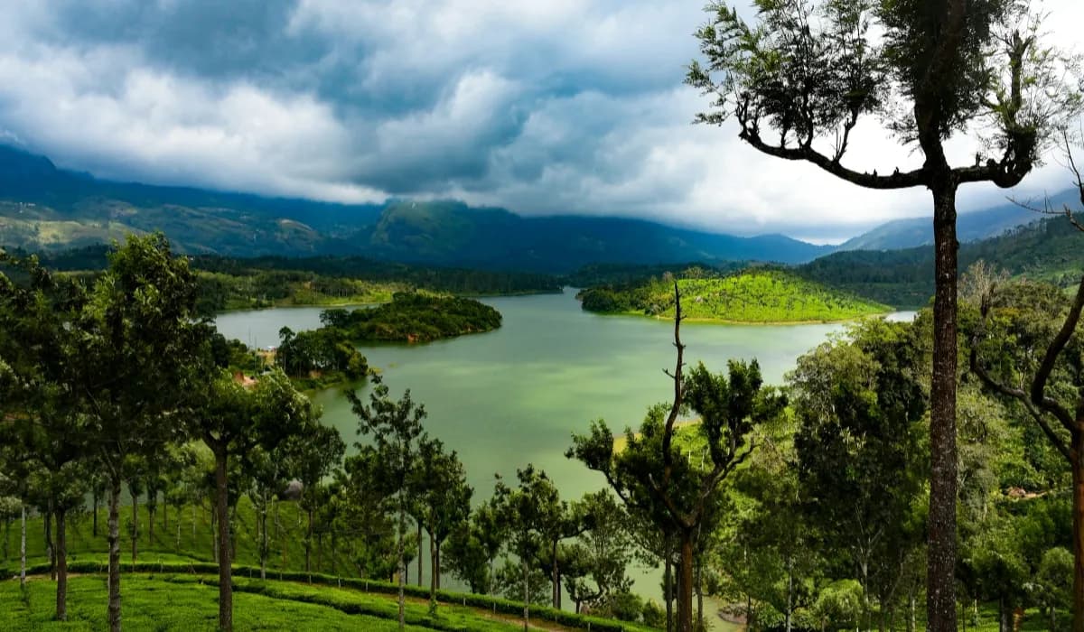 How To Explore Wayanad? Here’s Your Guide To Kerala’s Offbeat Location