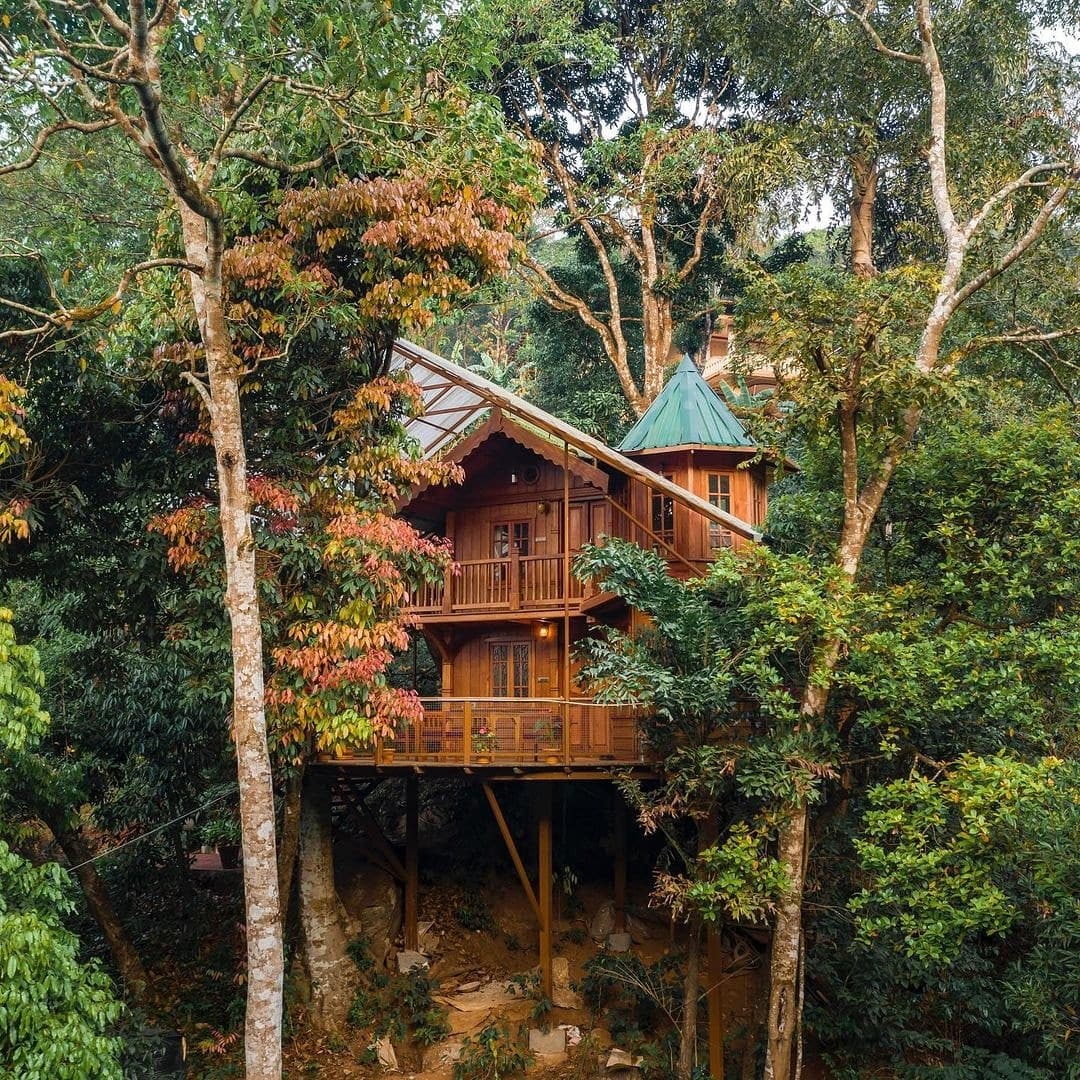 tree-house-8
