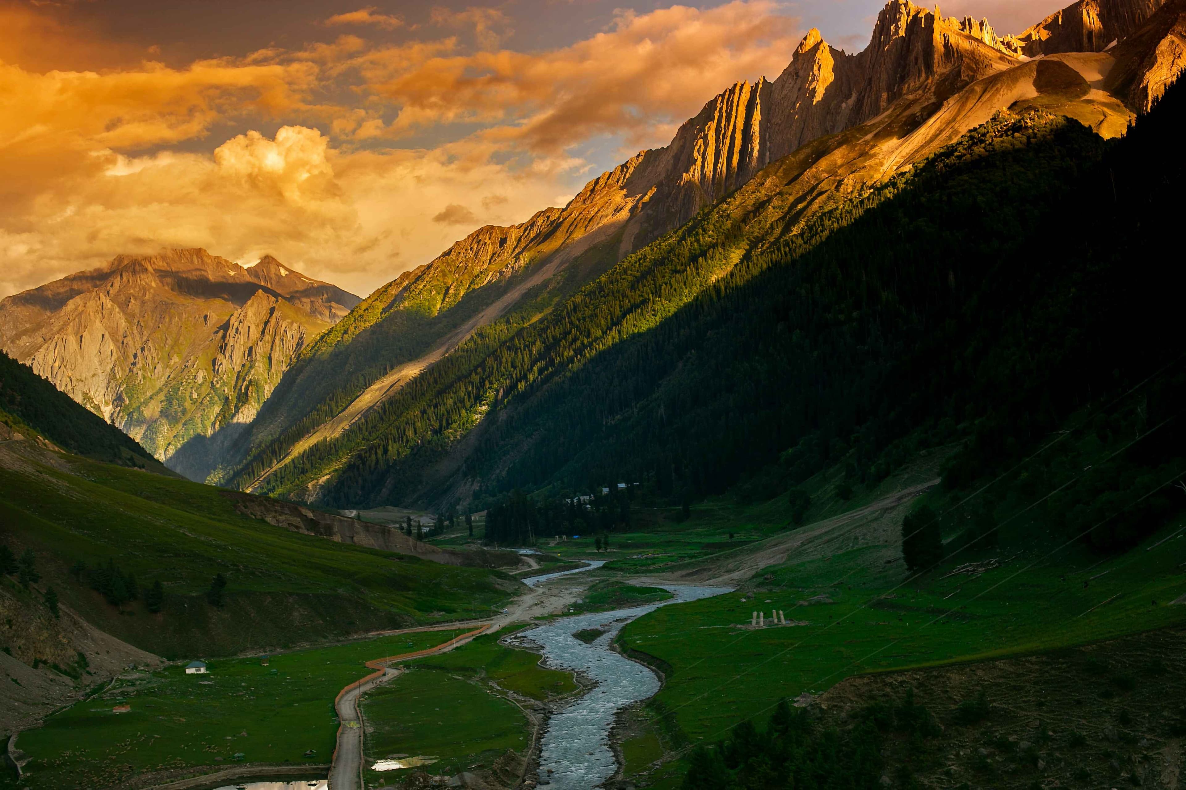 wan-salahuddin-wan-ismail-q2Zl3cciIlo-unsplash (1)