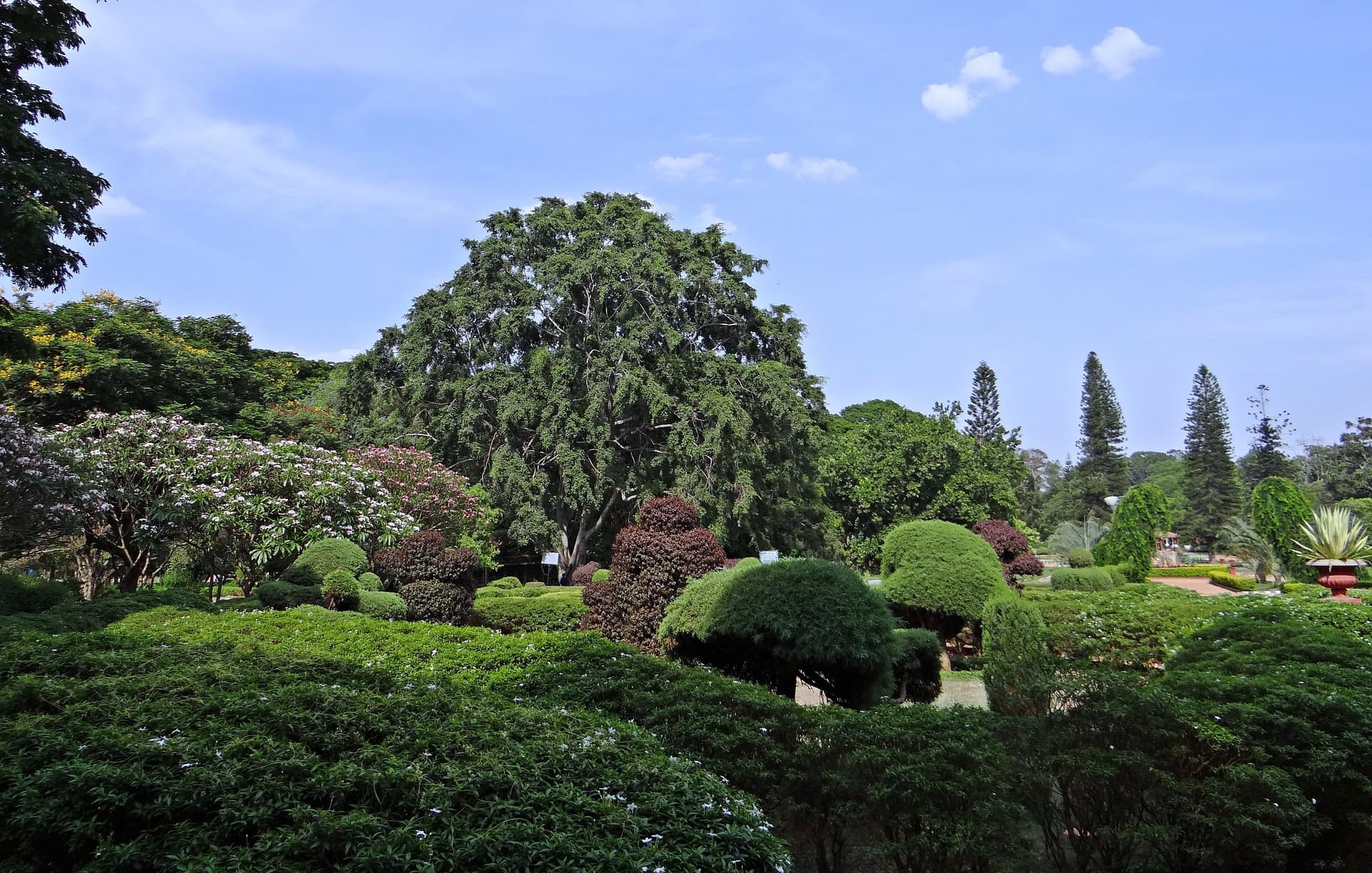 6360f104a1bc1_the-ultimate-itinerary-48-hours-in-bangalore