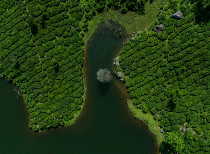 7 Hidden Monsoon Destinations In India