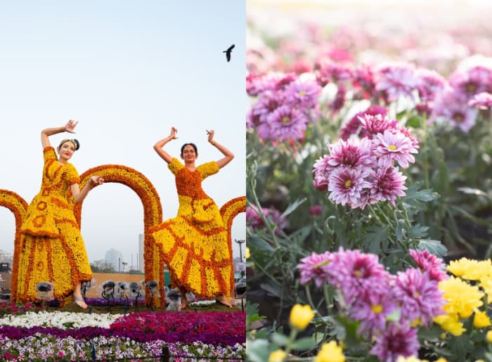 Ahmedabad Flower Show 2026 image 2