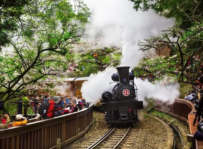 Alishan steam train