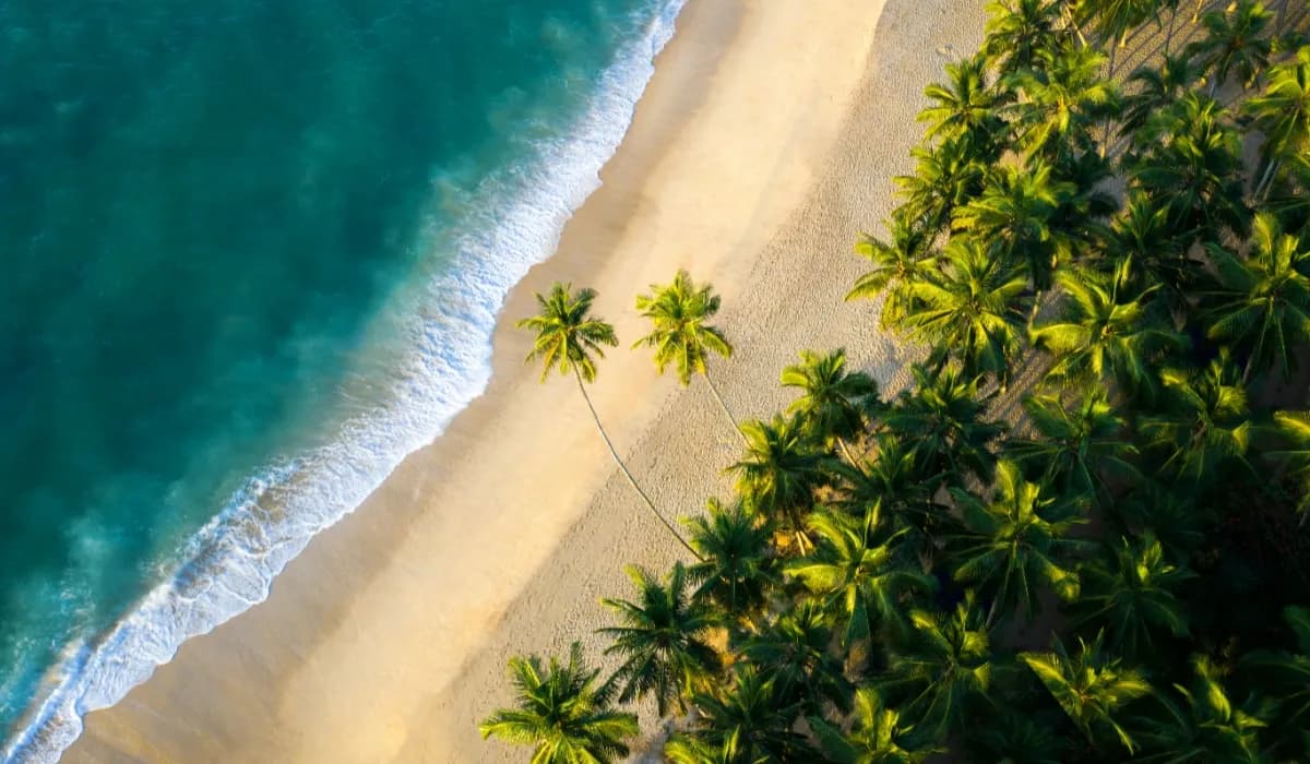 Best Time To Visit Sri Lanka