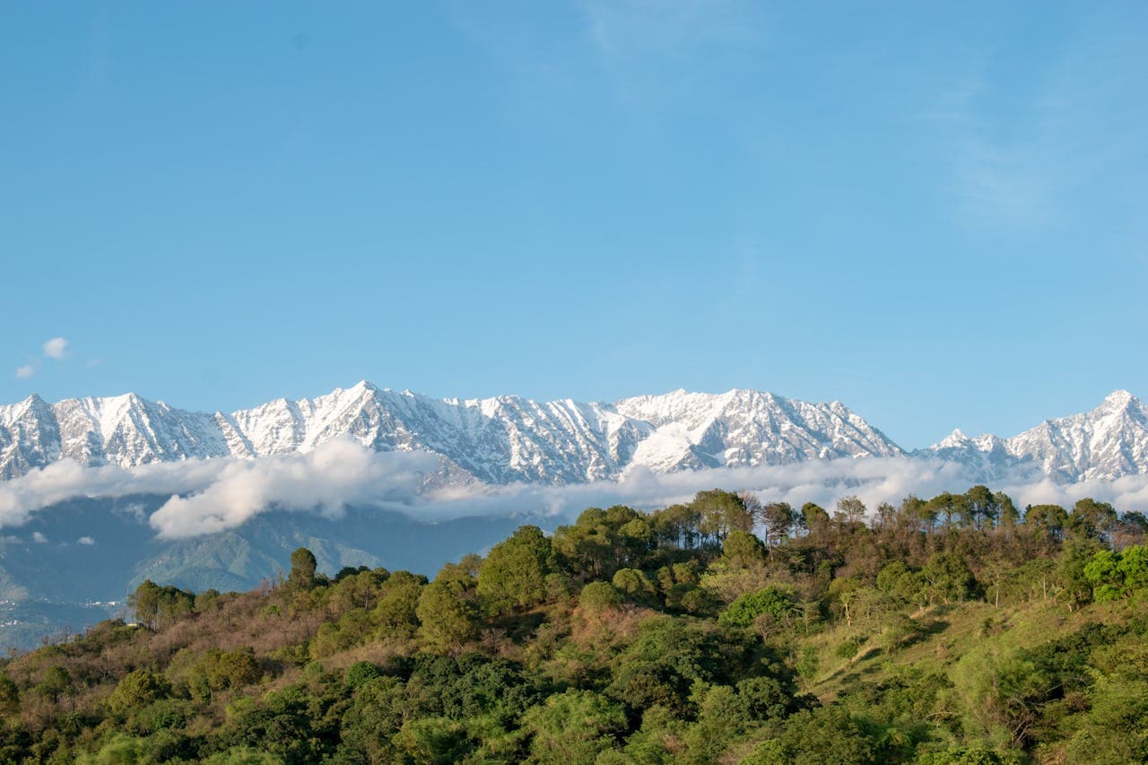 Budget Stays In Dharamshala