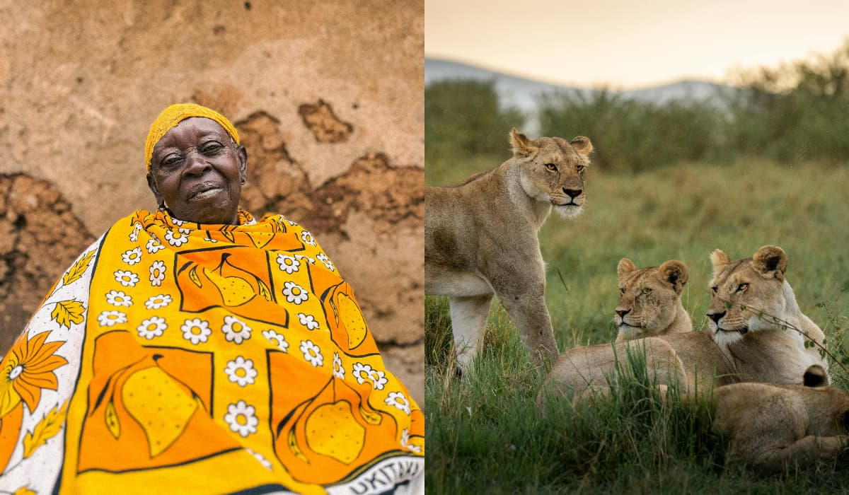 Busting Common Myths About Kenya_ Facts That May Surprise You