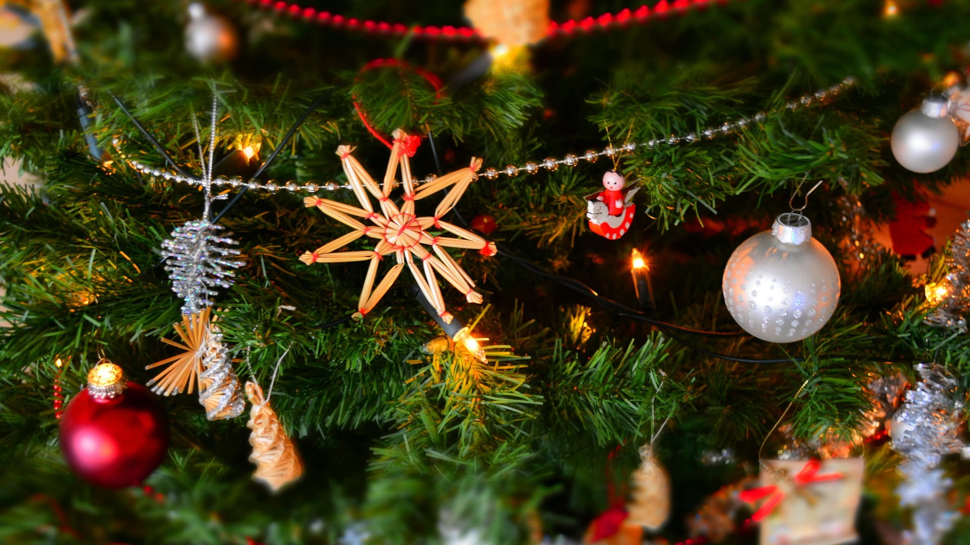 Christmas In Mumbai: 7 Must-Visit Churches For Midnight Mass & Celebrations