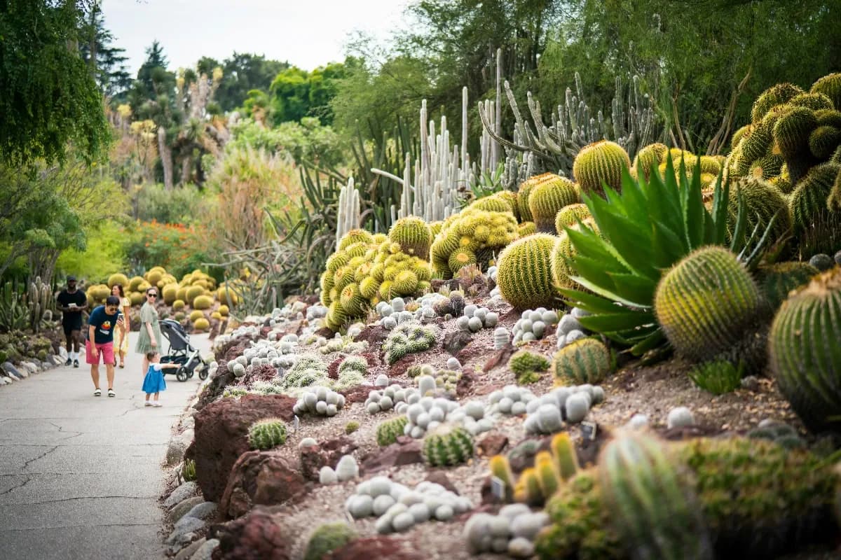 Cactus Park in Al Jaddaf Dubai
