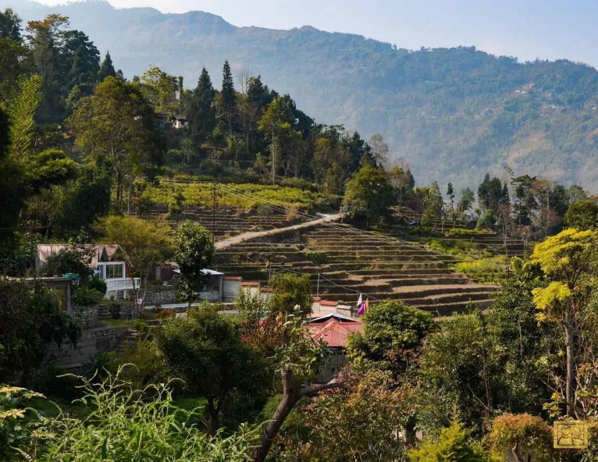 Chota Mangwa Travel Guide