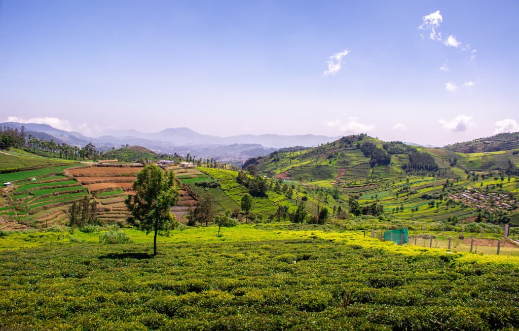 Coonoor-slider2-1024x654