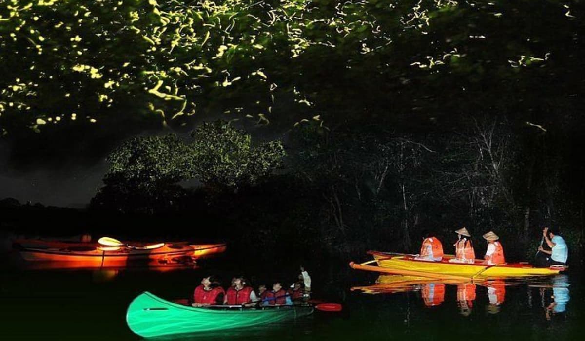 FireFly_Boat_4