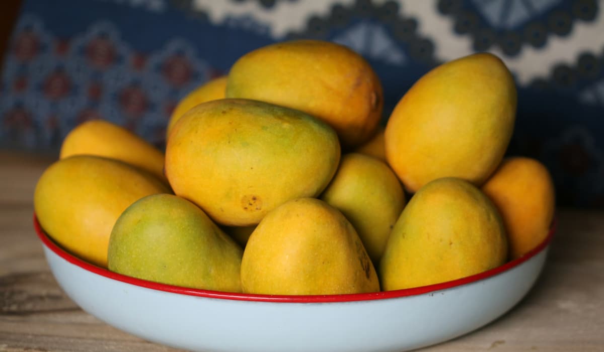 Indian Mangoes
