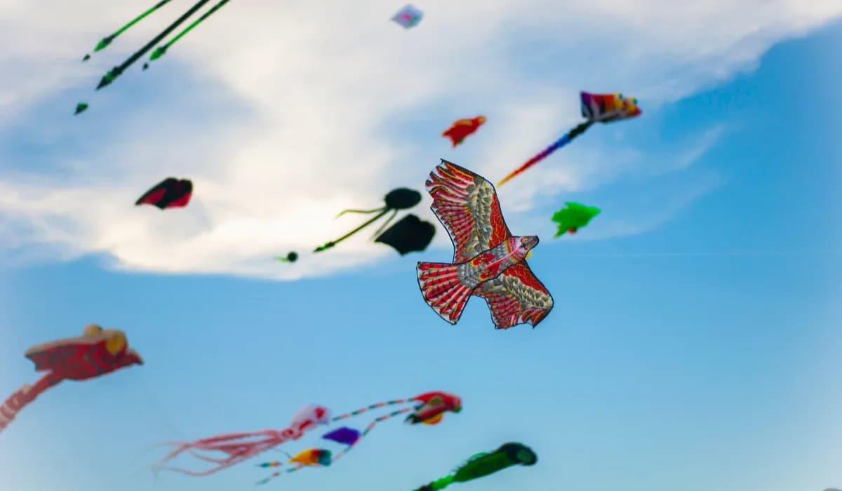 International Kite Festival 2026