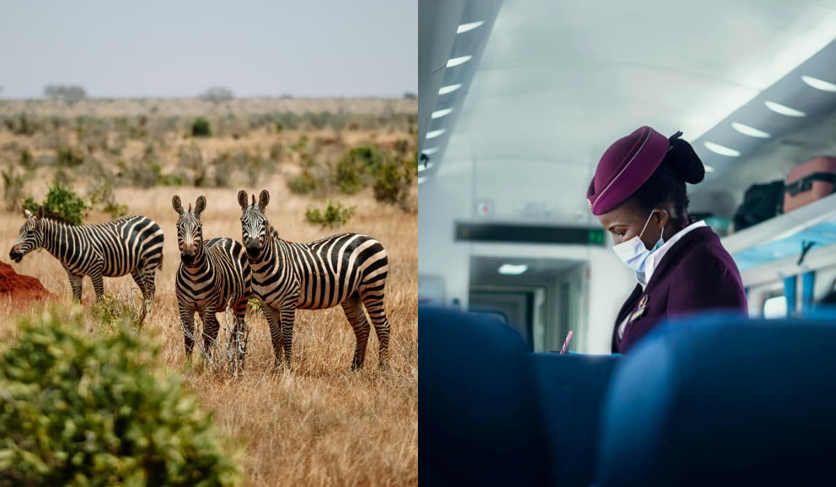 Kenya Travel Tips For First-Timers From India_ Culture, Safety & Local Etiquette