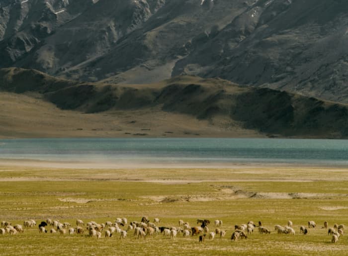 Ladakh terrain