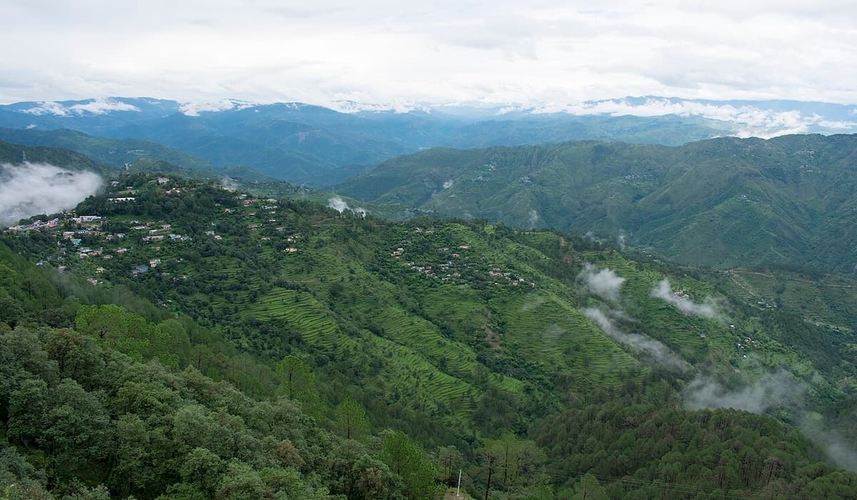 Top Homestays In Lansdowne For A Peaceful Mountain Getaway