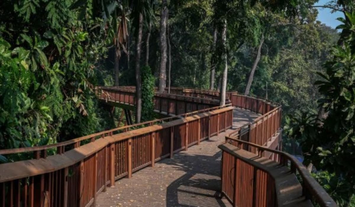Malabar Hill Nature Trail